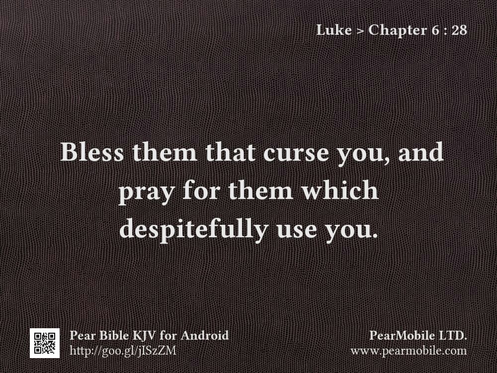 Luke, Chapter 6:28